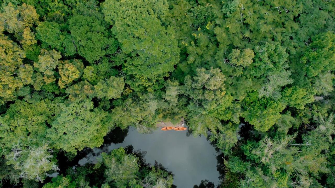 Vila Monjua Trancoso Villa Bagian luar foto